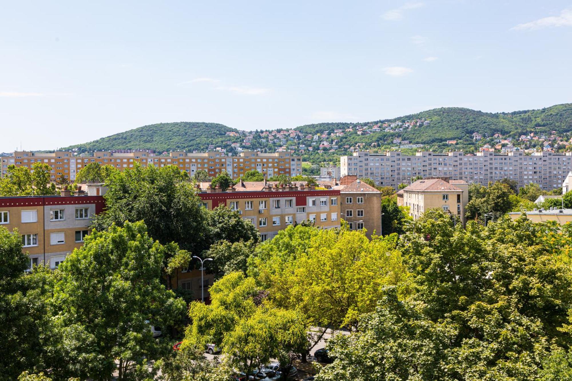 Apartament Stock